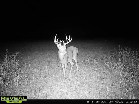 0000 Avenue Q, Little River, KS, 67457 photo 15