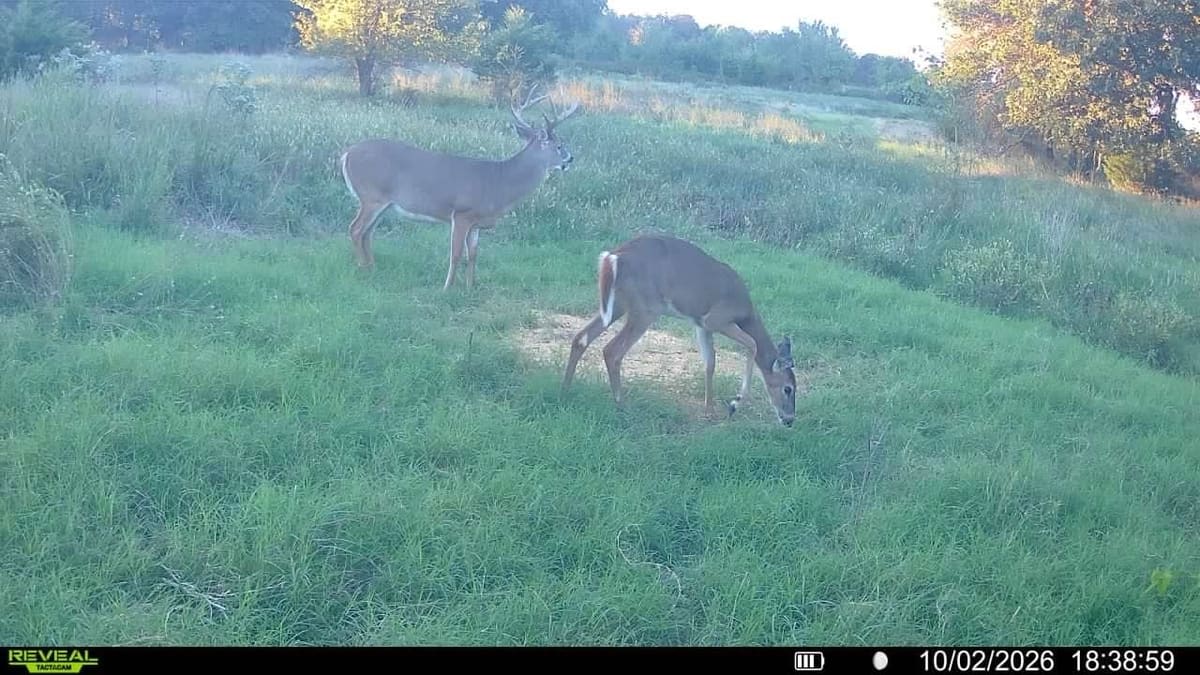 3086 Saddle Road, Elk City, KS, 67344