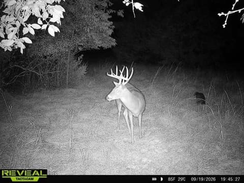 00000 201st RD, Burden, KS, 67019-9348 photo 9