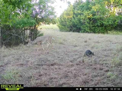 00000 201st RD, Burden, KS, 67019-9348 photo 17