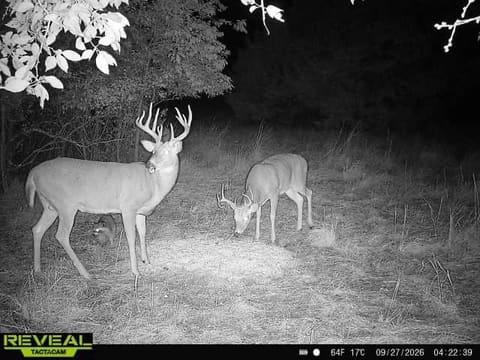 00000 201st RD, Burden, KS, 67019-9348 photo 19